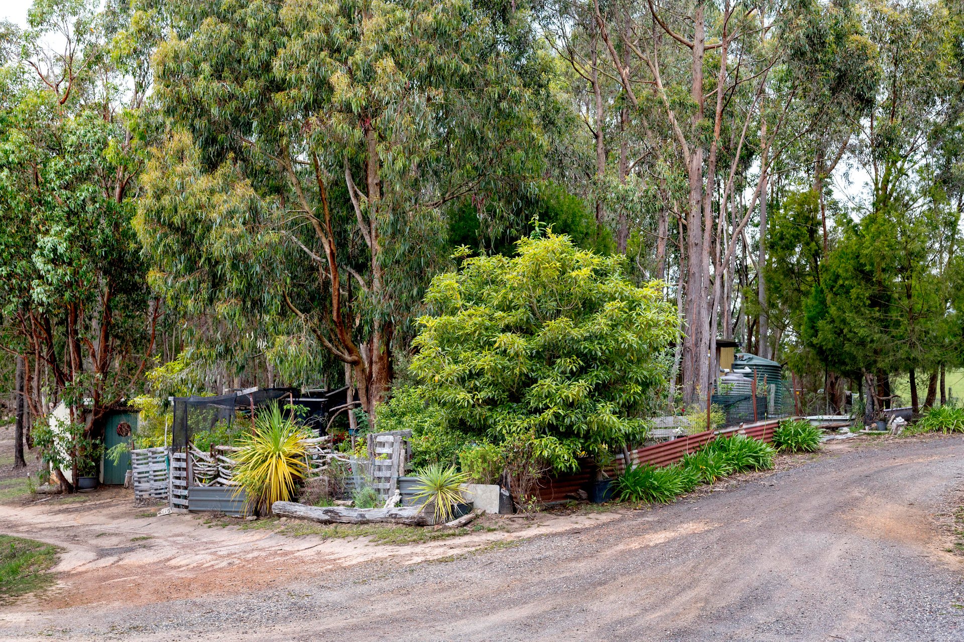 355 Chadds Creek Road, Strathewen image 19