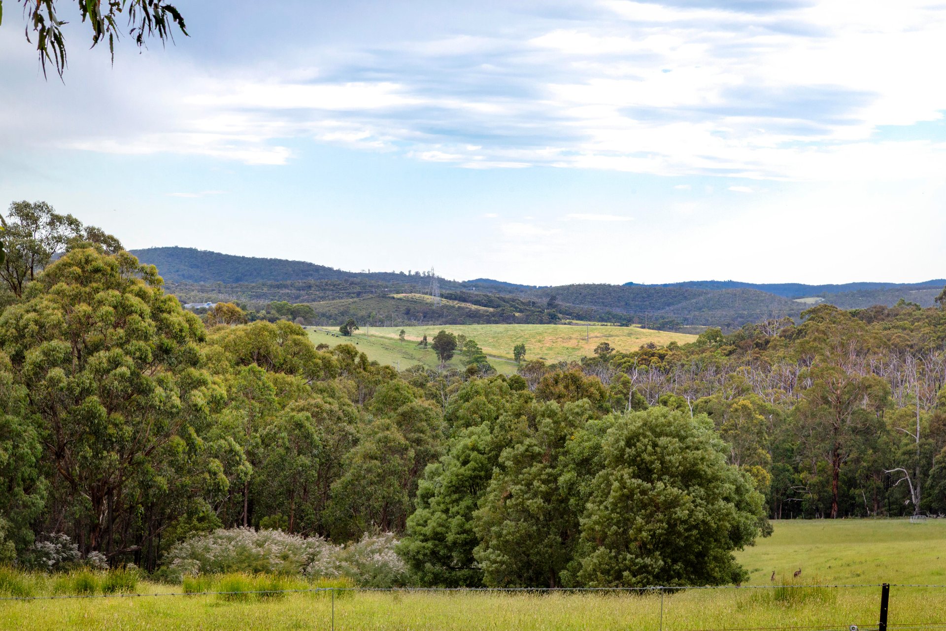 355 Chadds Creek Road, Strathewen image 23