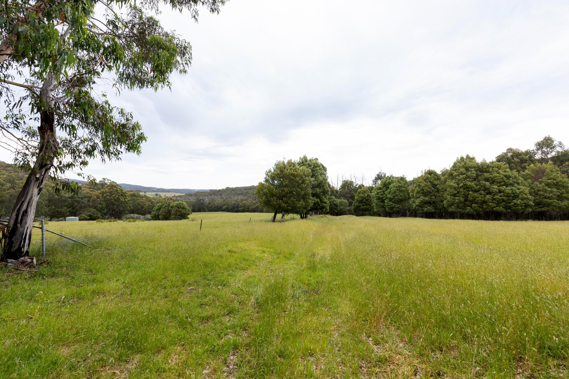 355 Chadds Creek Road, Strathewen image 27