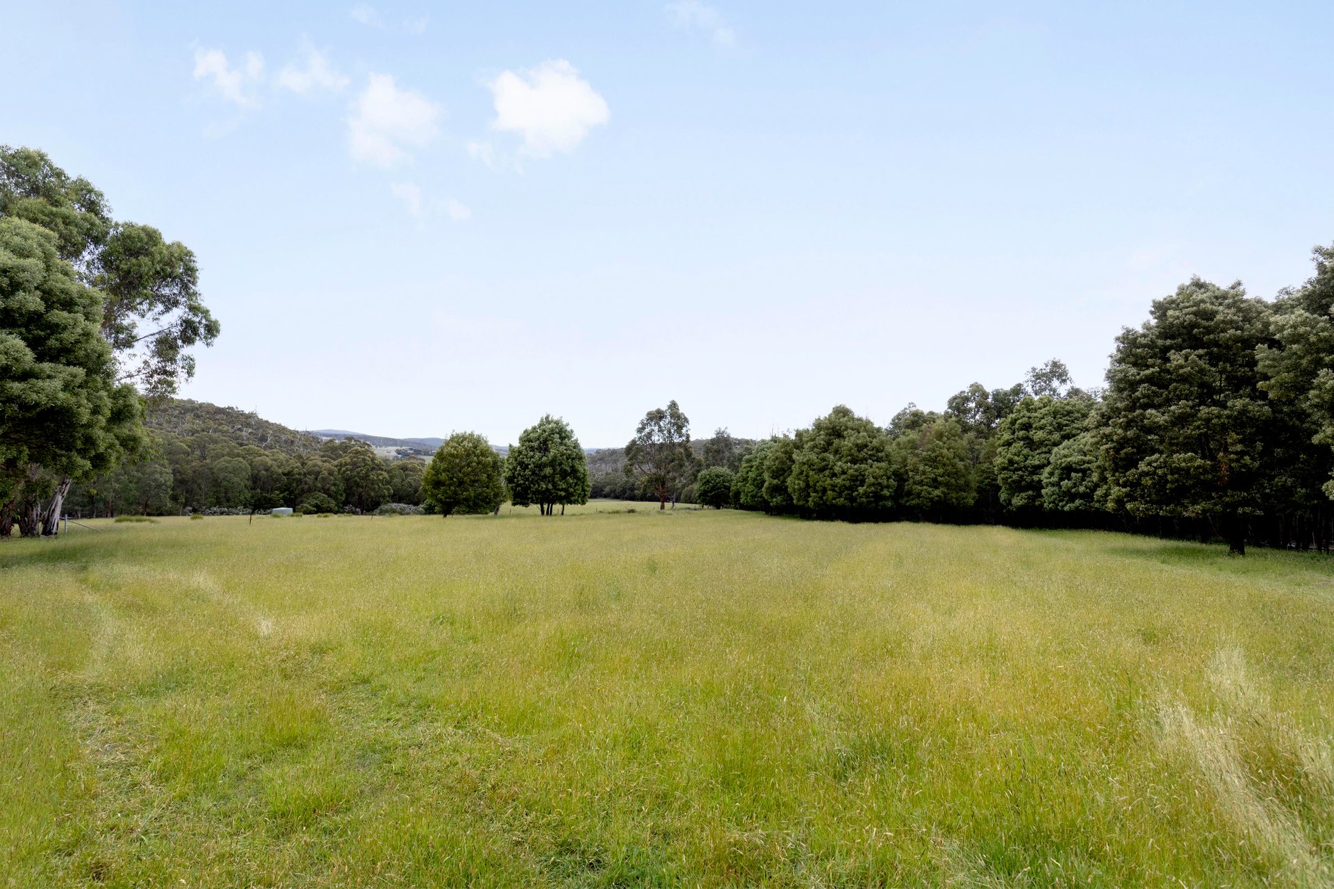 355 Chadds Creek Road, Strathewen image 29