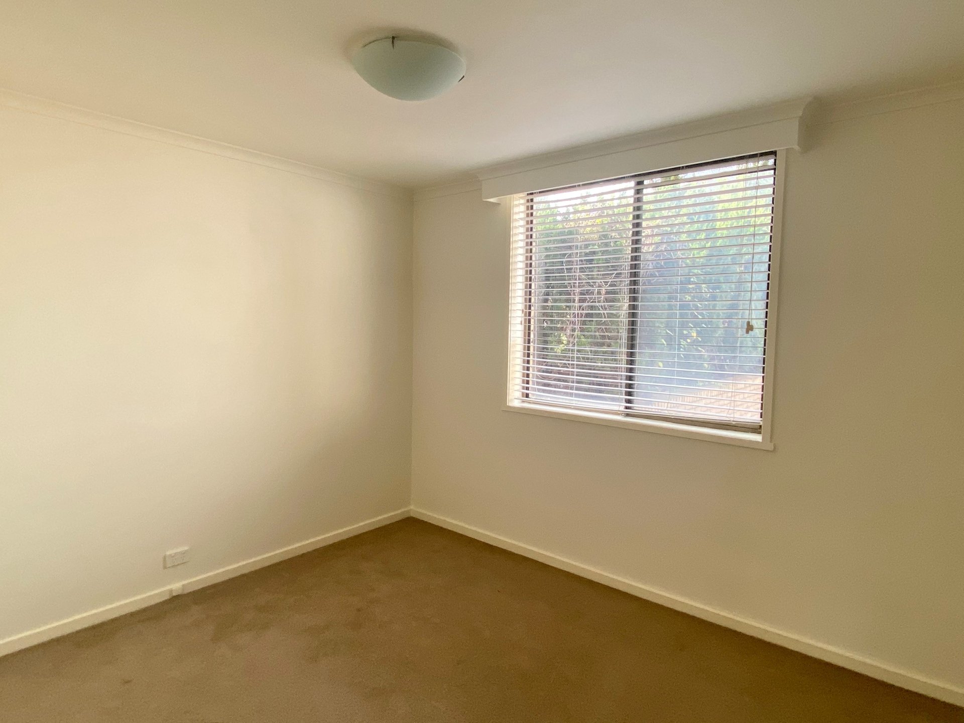 3 / 599 Malvern Road TOORAK