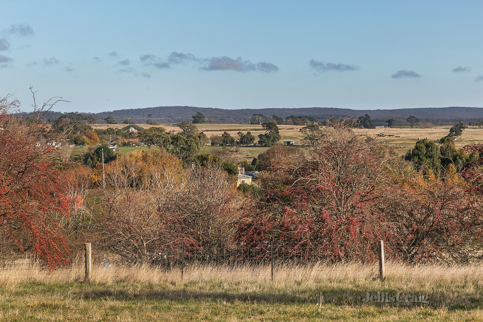 36-42 Brodie Street, Malmsbury image 4