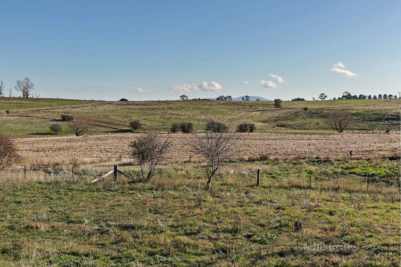 3642 Brodie Street, Malmsbury, VIC 3446 Land for Sale