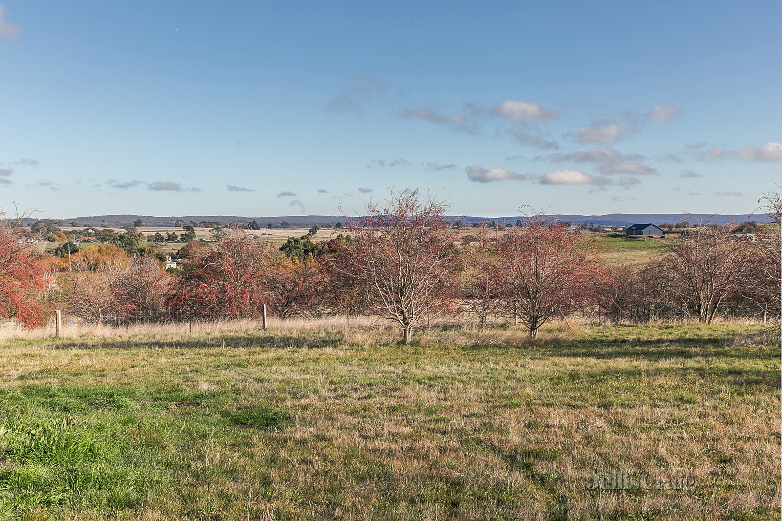 36-42 Brodie Street, Malmsbury image 6