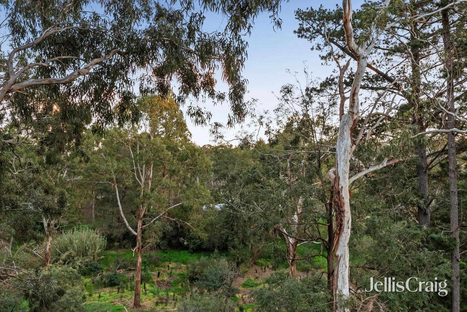 36 Bannerman Avenue, Greensborough image 27