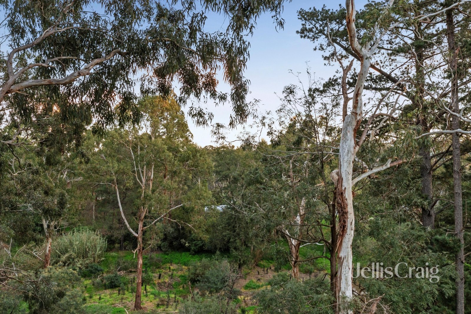 36 Bannerman Avenue, Greensborough image 24