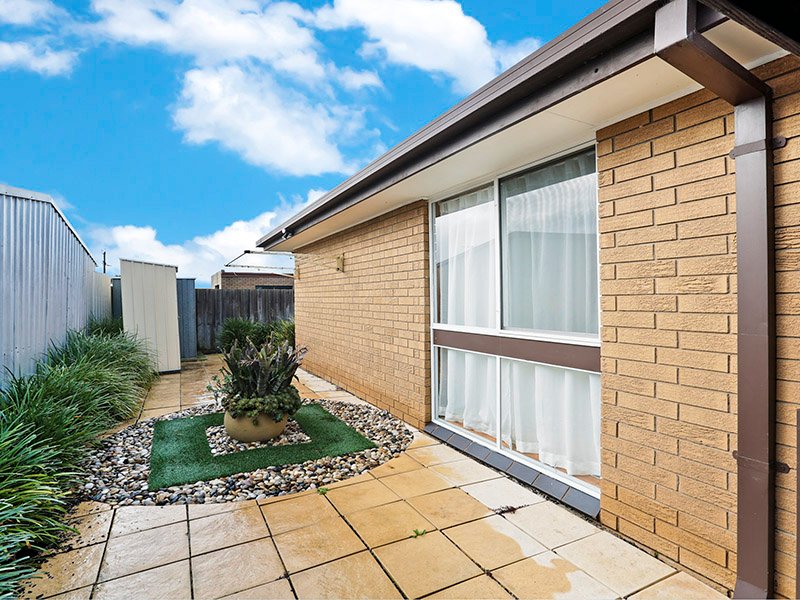 3/6 Casaceli Court, Whittington image 8