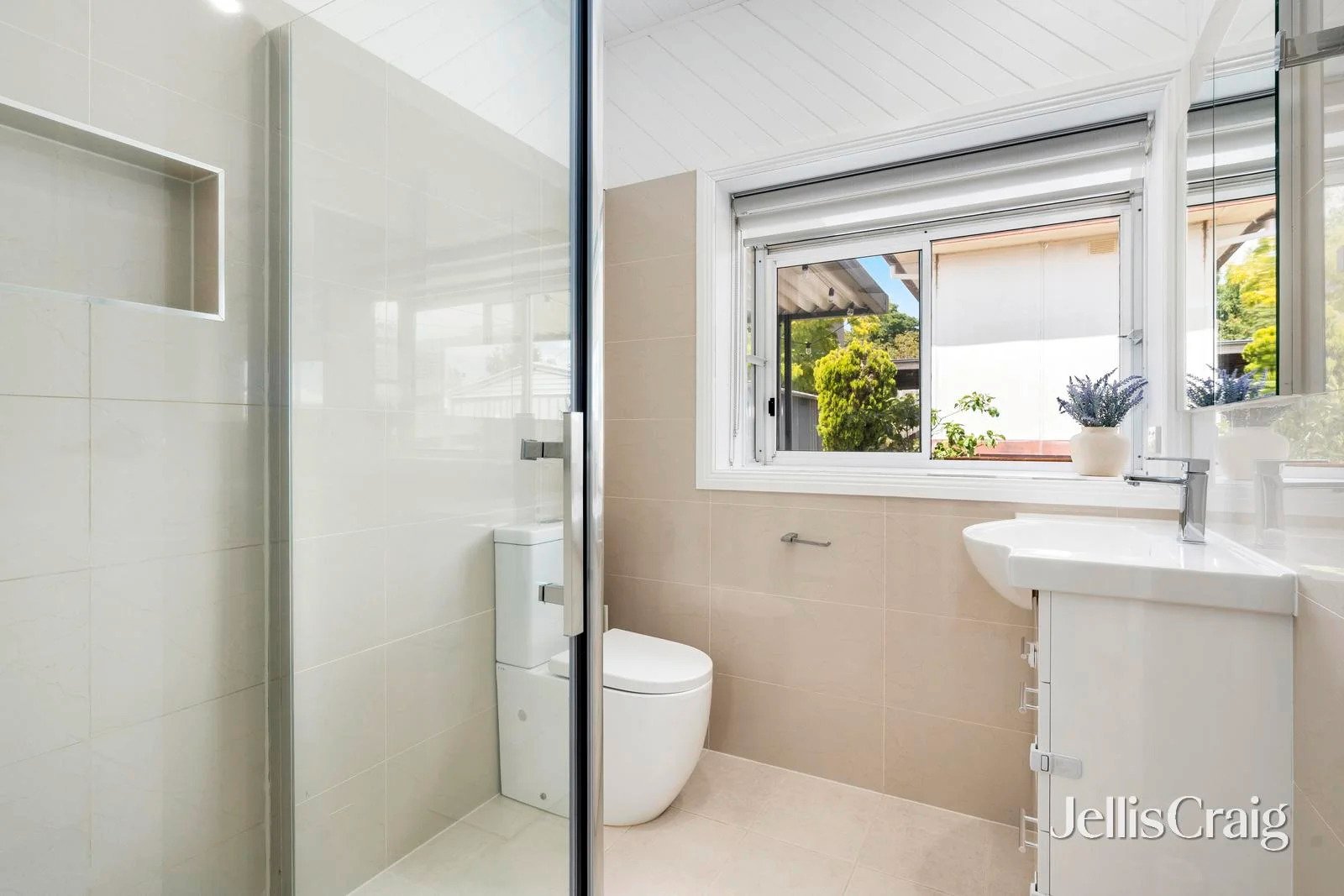 36 Cleveland Road, Ashwood image 6