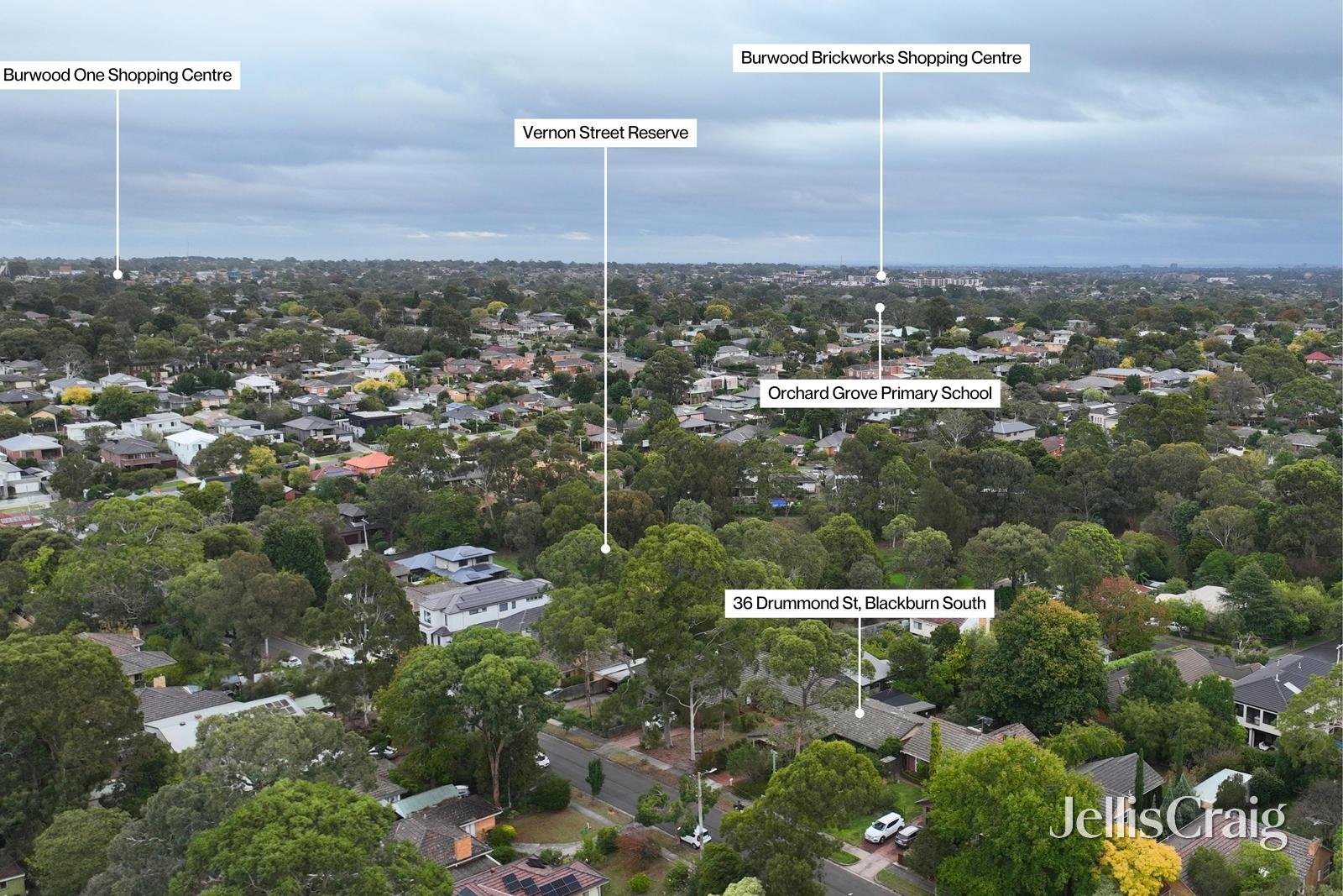 36 Drummond Street, Blackburn&nbsp;South image 22