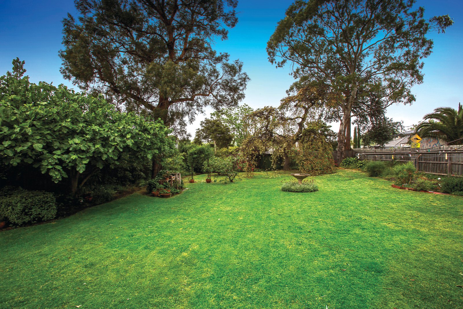 36 Ferncroft Avenue, Malvern East image 3