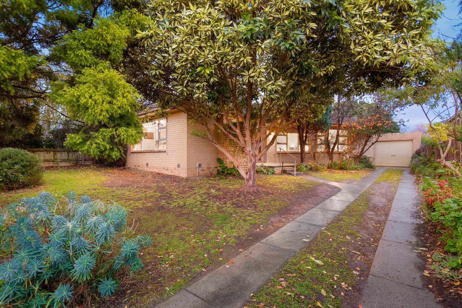Property Gallery - Main Image