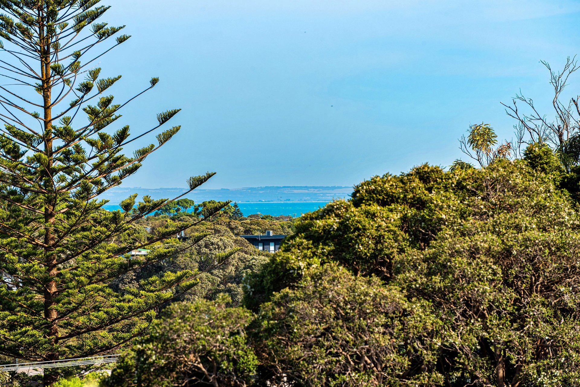 36 Hogan Drive, Rye image 9