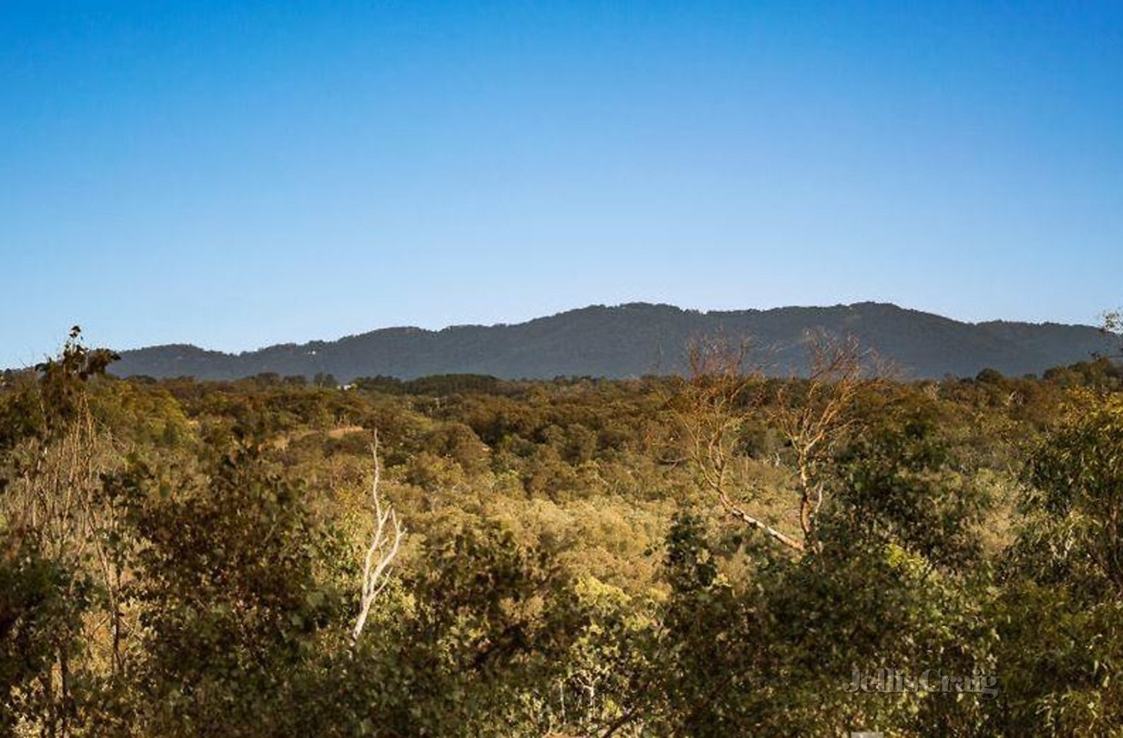 36 Kangaroo Ground-Warrandyte Road, North Warrandyte image 8