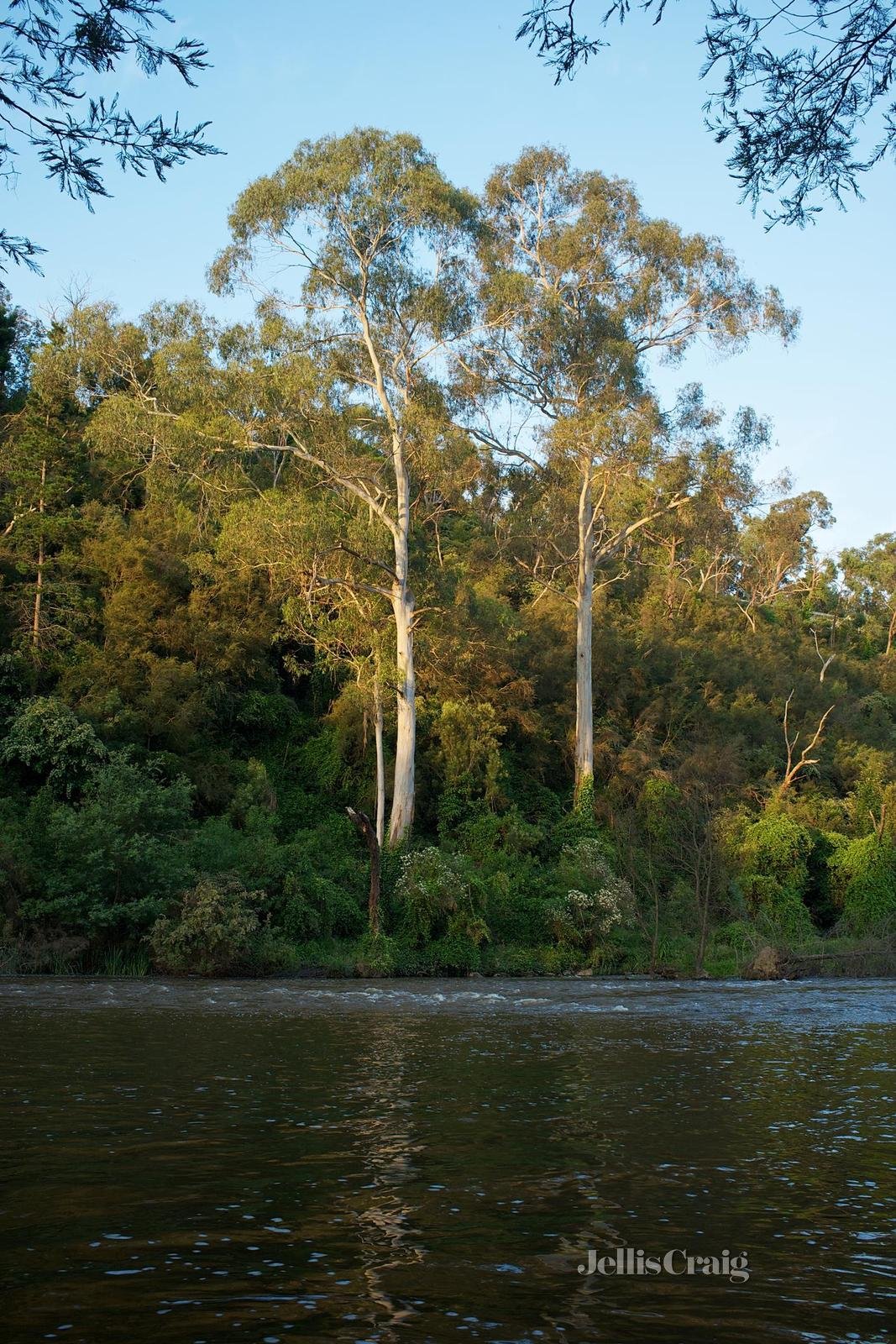 36 Leber Street, Warrandyte image 16