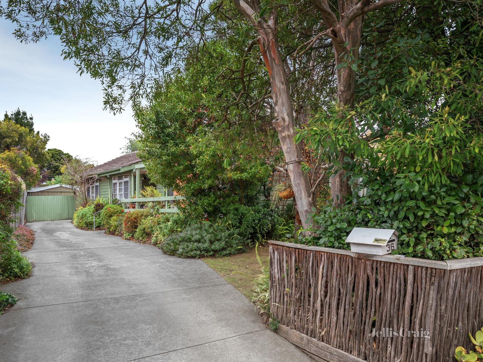 36 Marama Street, Blackburn South image 1