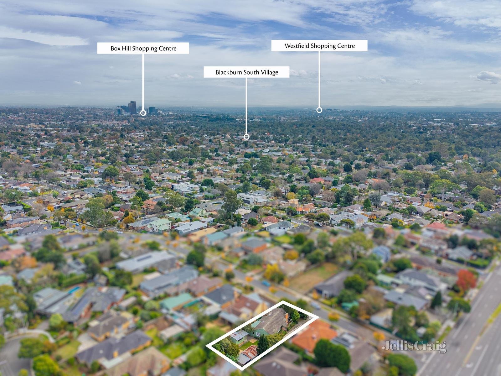 36 Marama Street, Blackburn South image 12