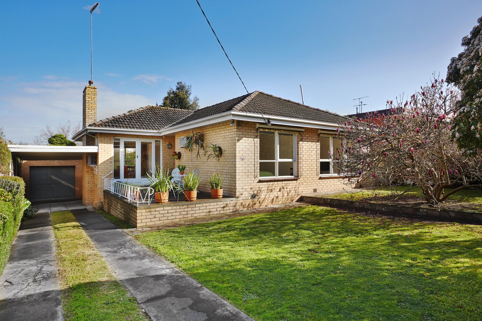 36 Sunhill Road, Glen Iris image 1