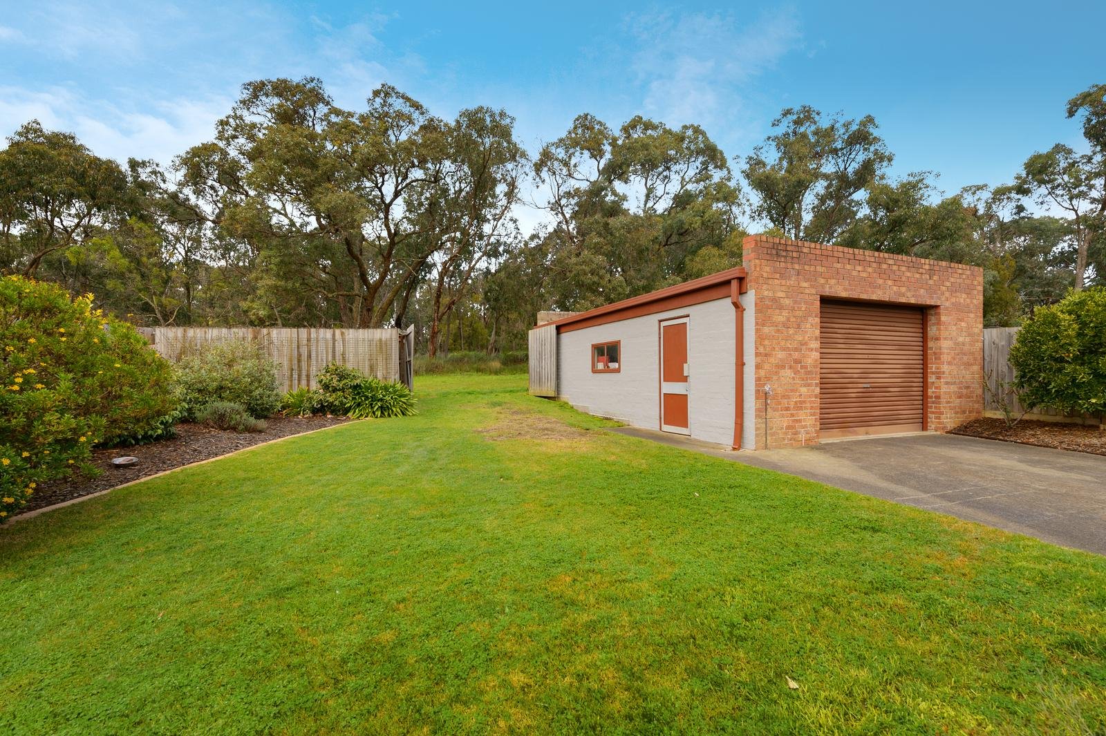 36 Tortice Drive, Ringwood North image 6