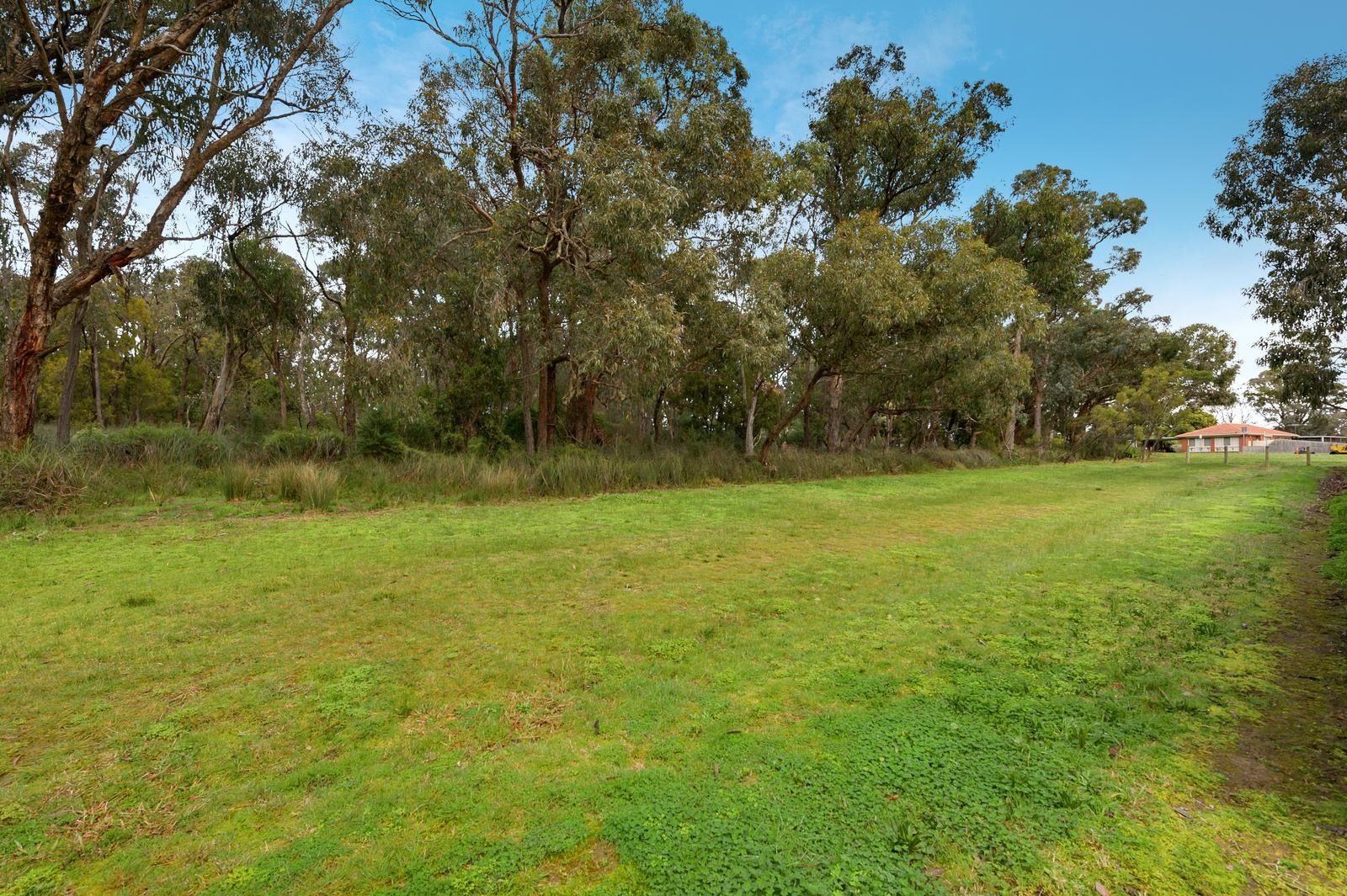 36 Tortice Drive, Ringwood North image 8