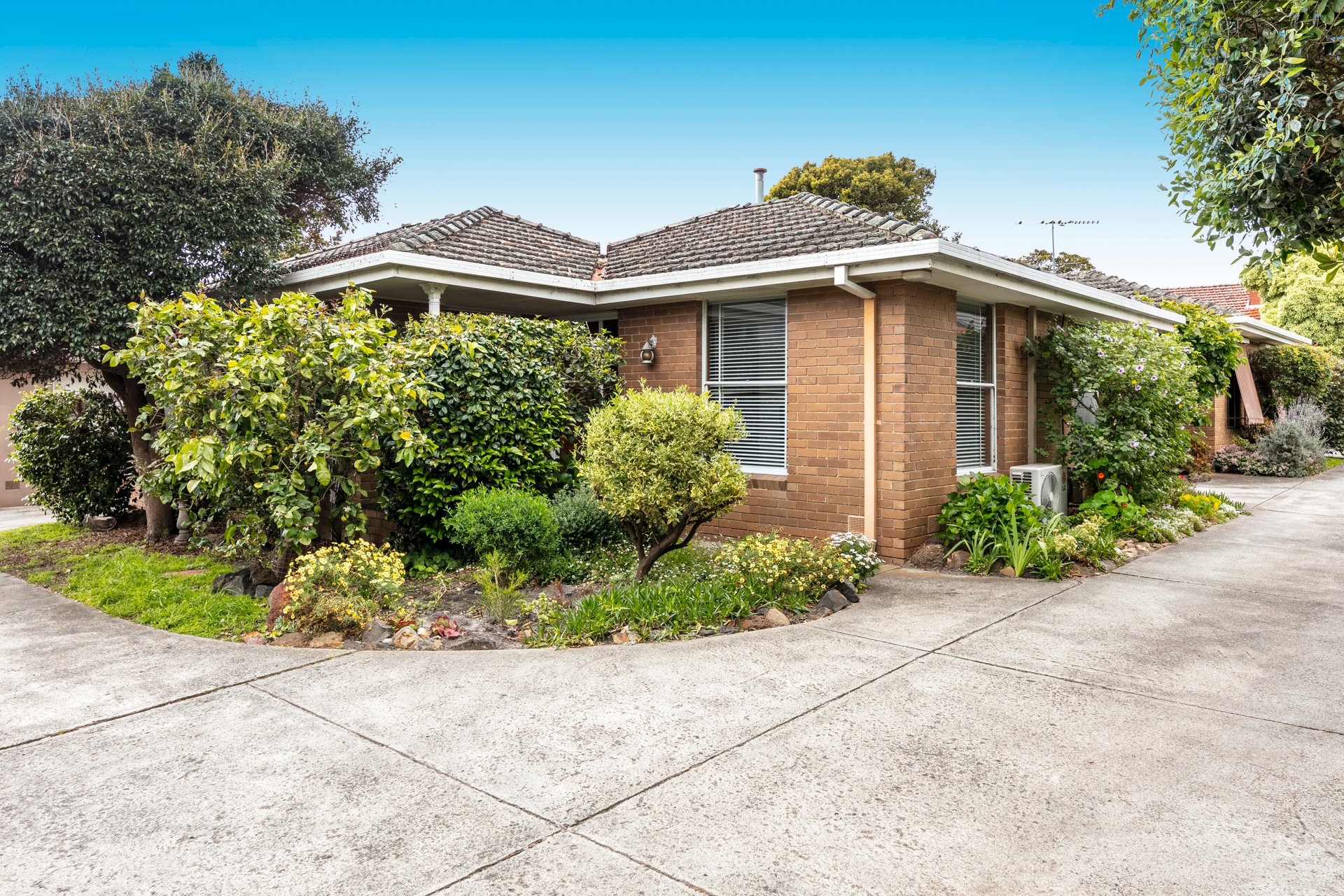 3 / 64 Edward Street Sandringham