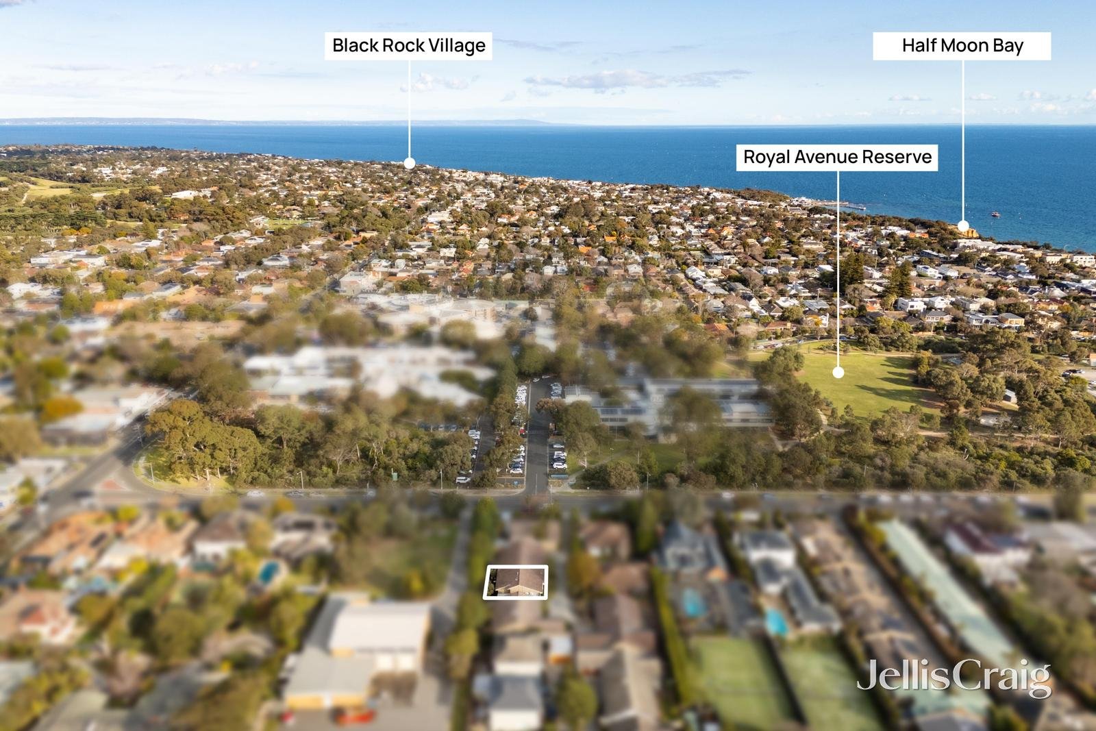 3/65 Royal Avenue, Sandringham image 12