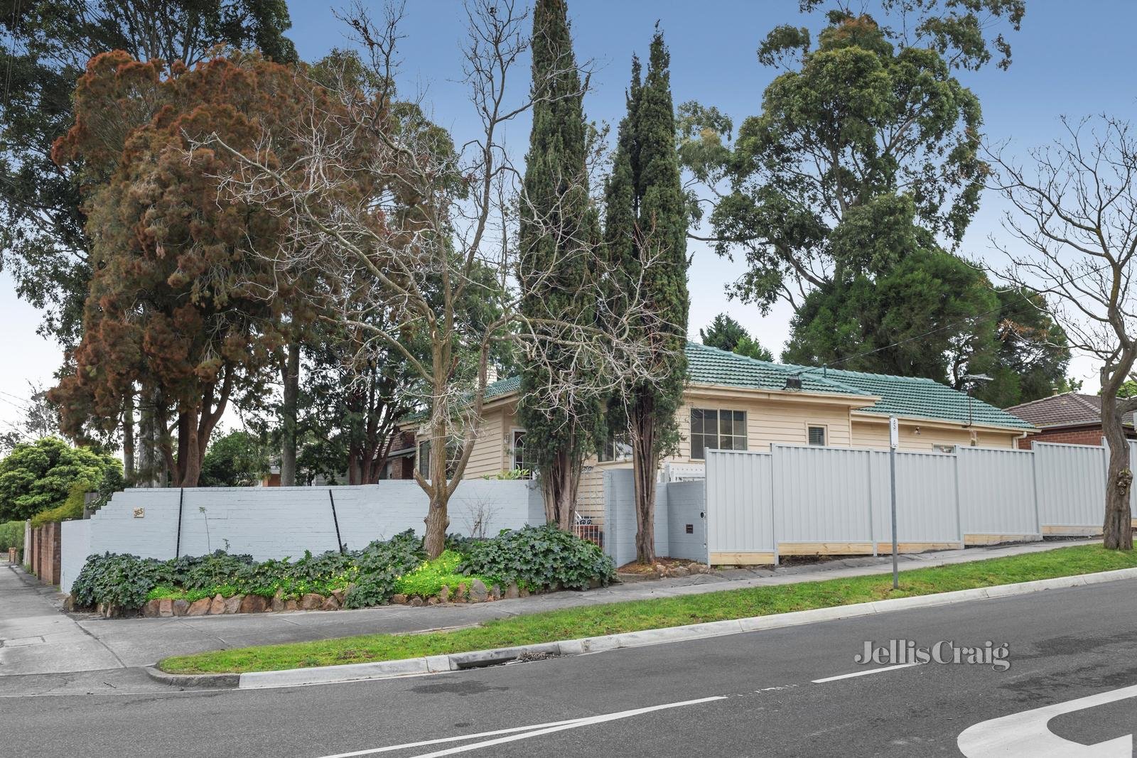 365 Springvale Road, Forest Hill image 3