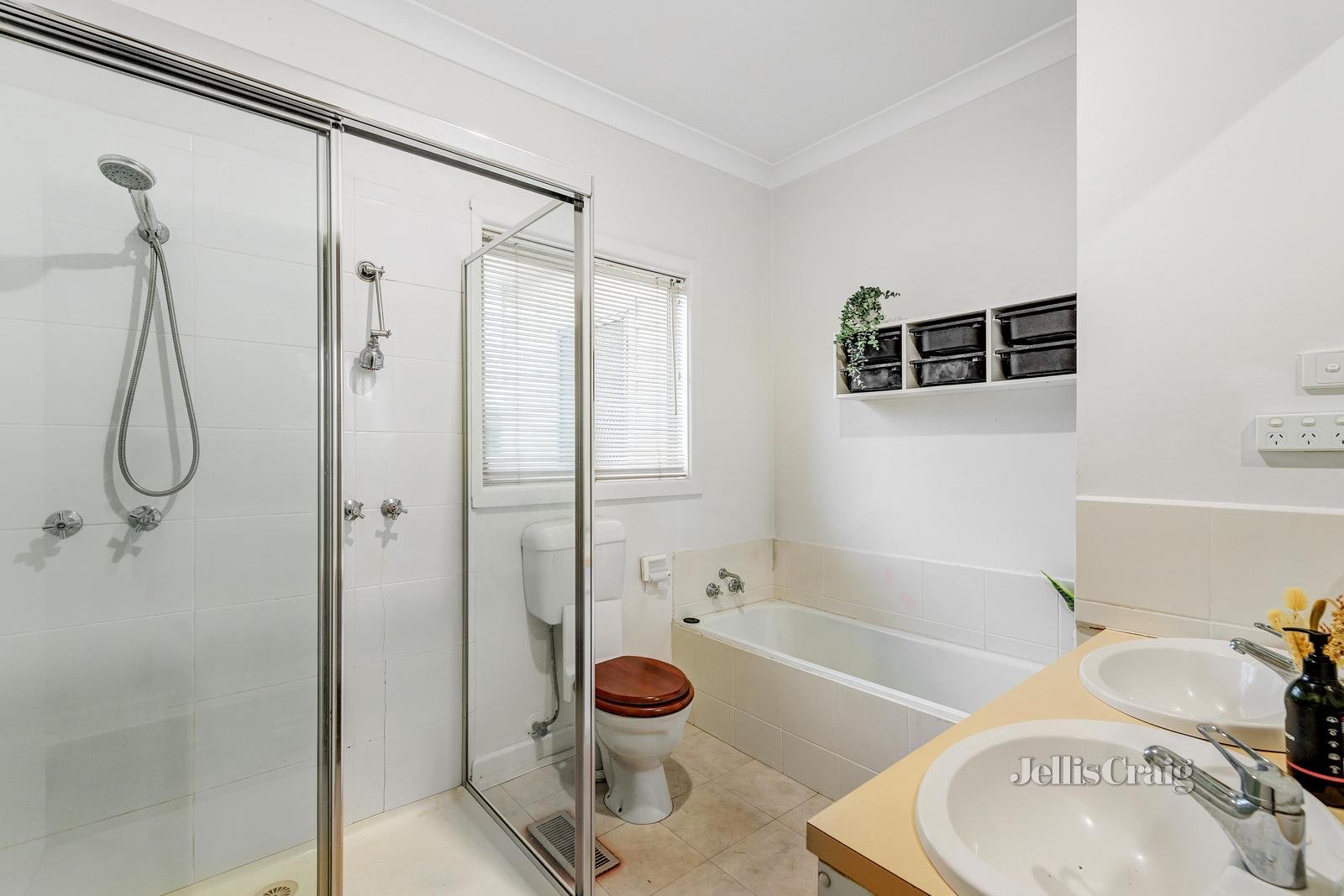 365 Springvale Road, Forest Hill image 5