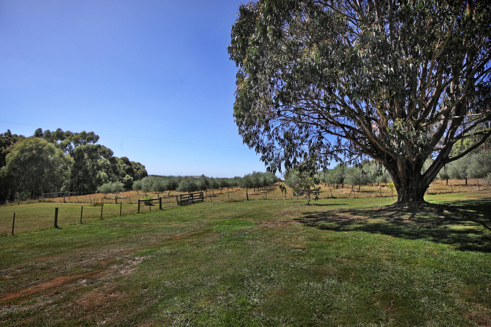Property Gallery Thumbnail 23