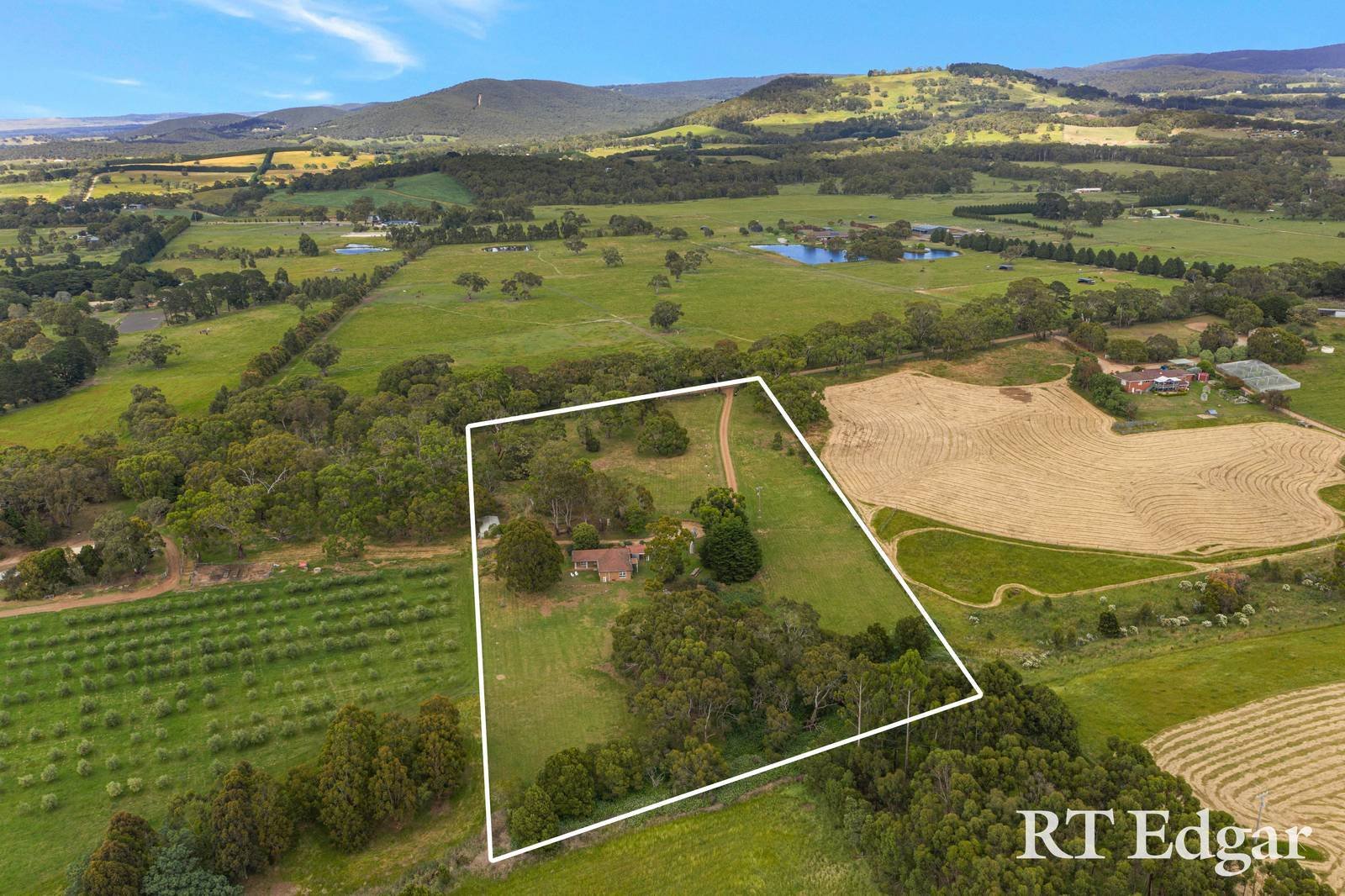 Property Gallery - Main Image