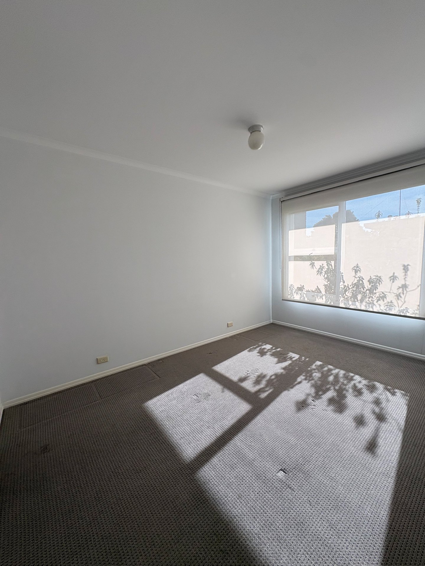 3/67 Heytesbury Street, Herne&nbsp;Hill image 11
