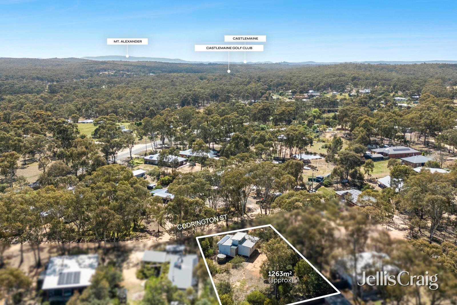 36D Codrington Street, Newstead image 11