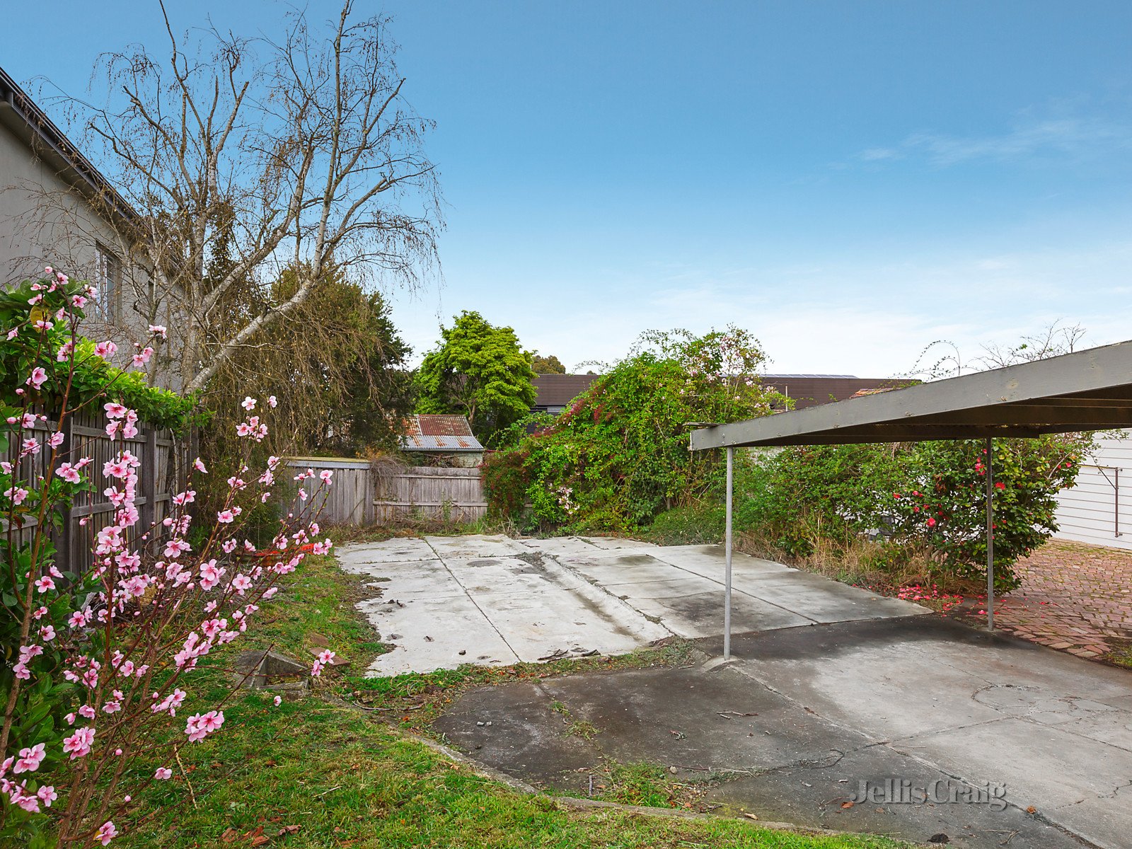 37 Dight Avenue, Balwyn North image 8