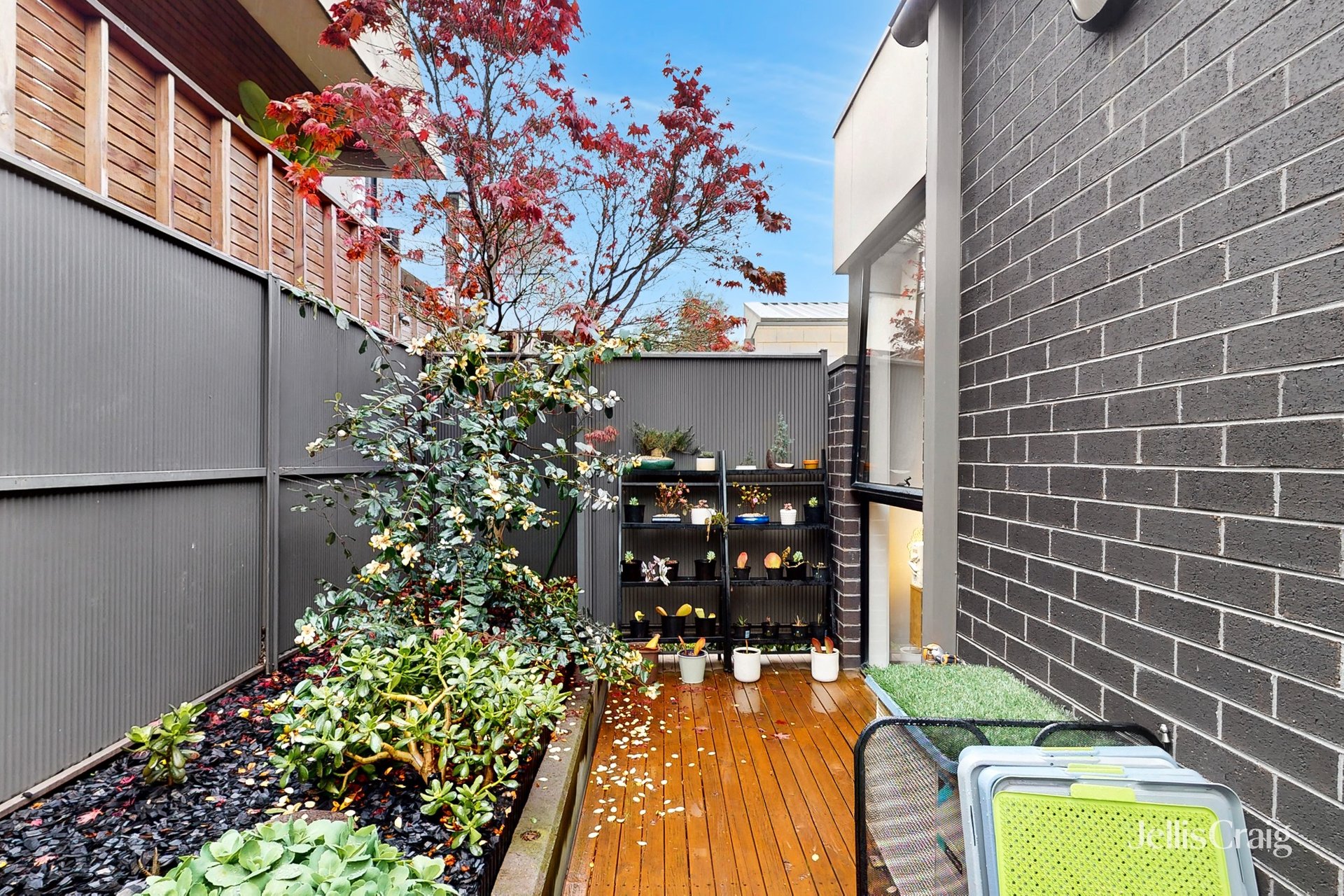37 Hillsdale Avenue, Maribyrnong image 14