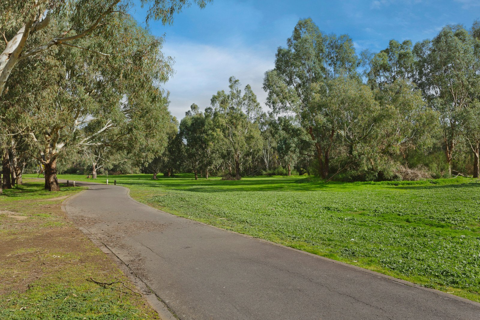 37 Lowan Avenue, Templestowe Lower image 8