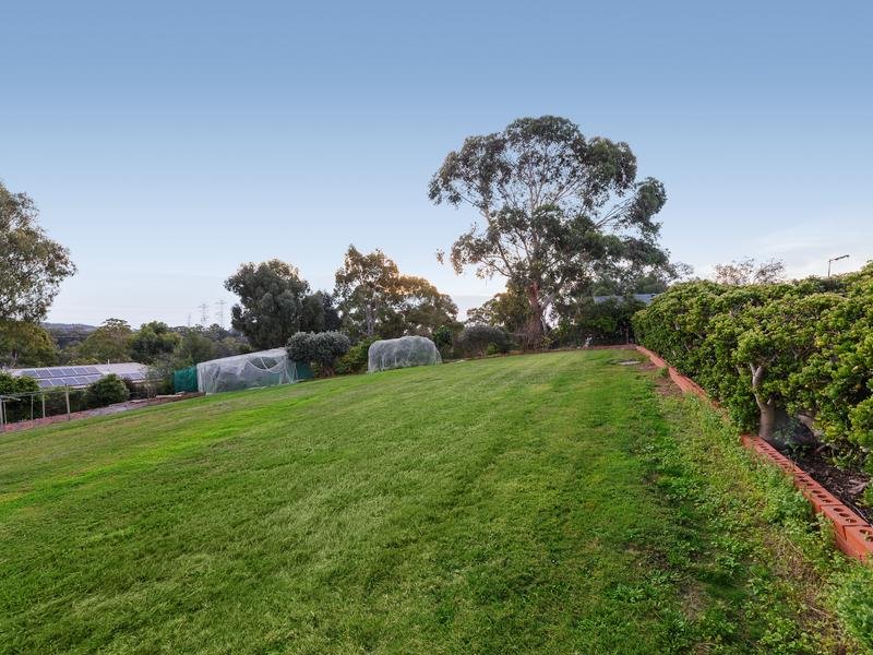 37 Rainbow Valley Road, Park Orchards image 11