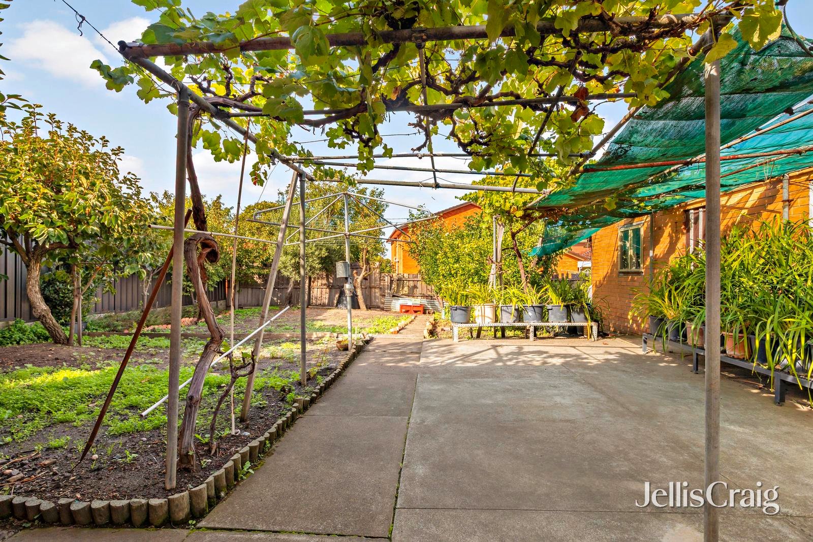 37 St Raphael Street, Avondale&nbsp;Heights image 8