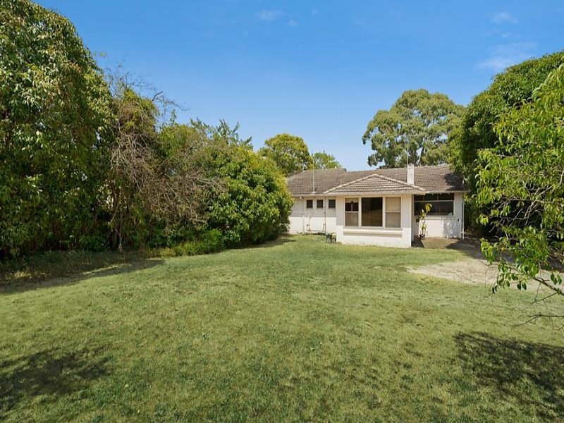 37 Stephens Street, Balwyn North image 2