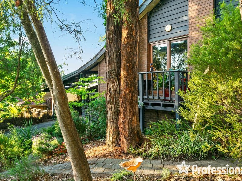 37 The Avenue, Montrose image 3