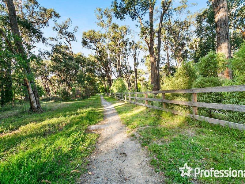 37 The Avenue, Montrose image 15