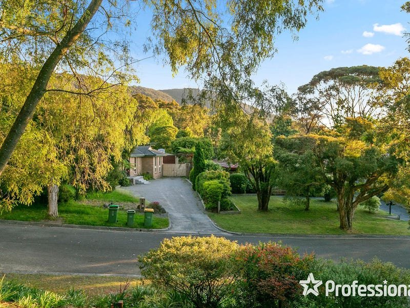 37 The Avenue, Montrose image 17
