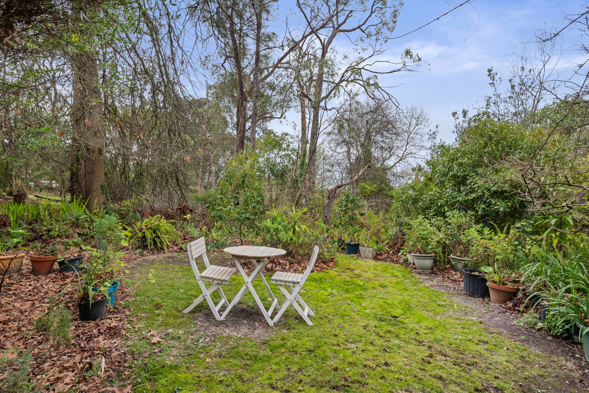 37 Wilson Concourse, Croydon&nbsp;North image 11