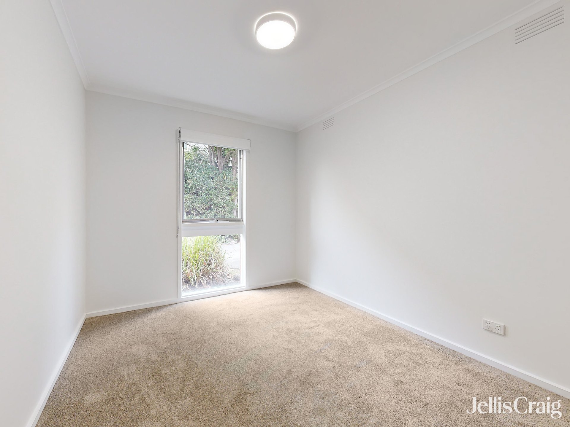 3/77 Alfred Street, Kew image 7