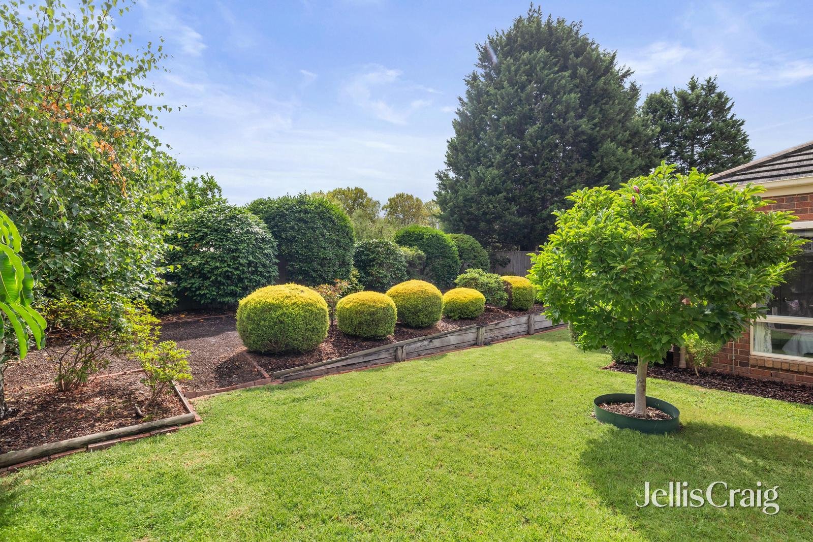 379 Boronia Road, Boronia image 12