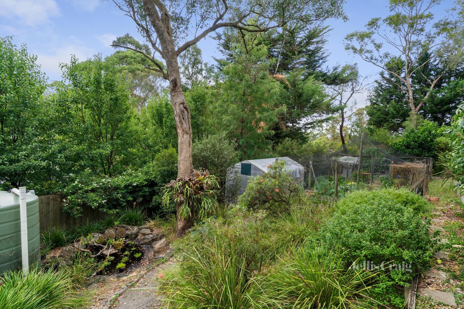 379 Heidelberg-Warrandyte Road, Warrandyte image 10