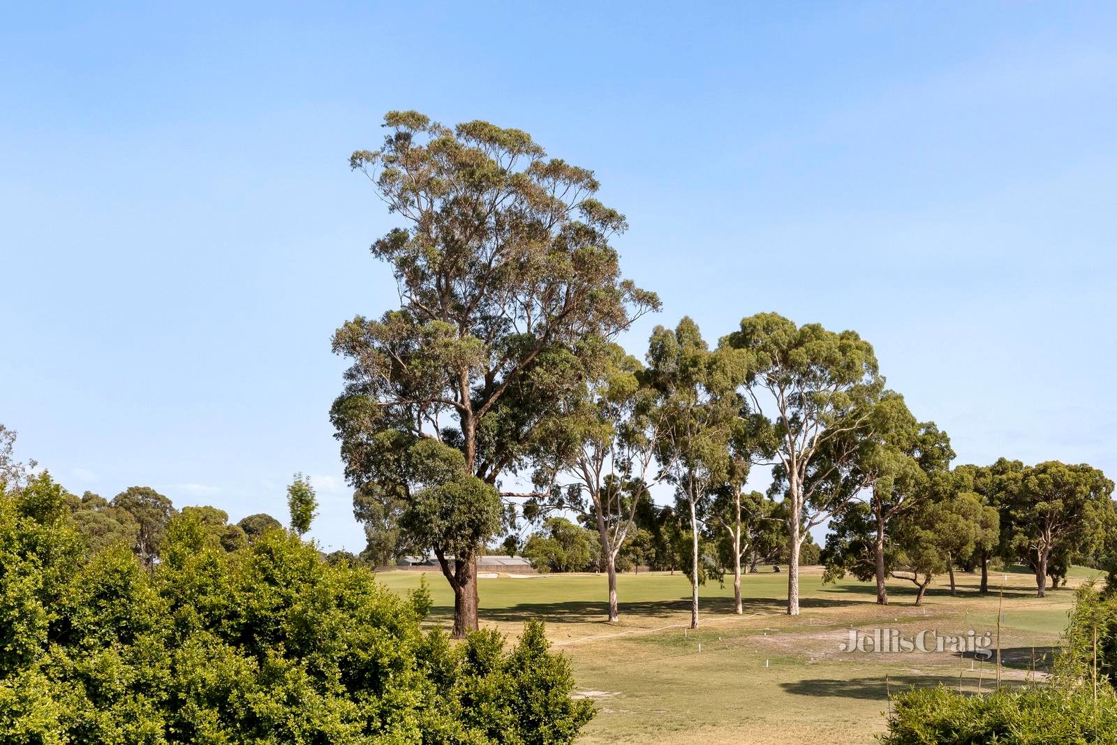 37A Victor Road, Bentleigh East image 7