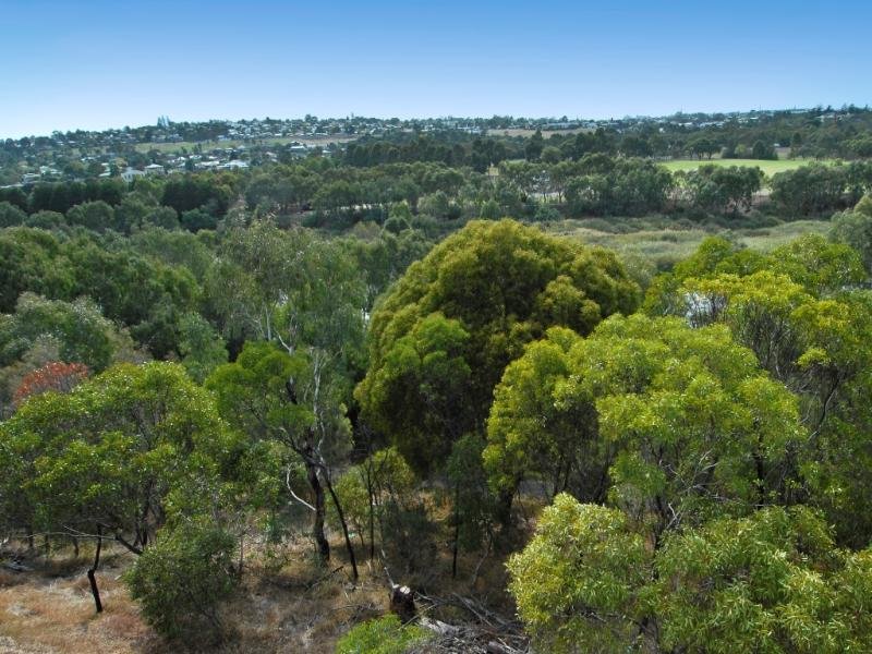 38 Barwon Boulevard, Highton image 5