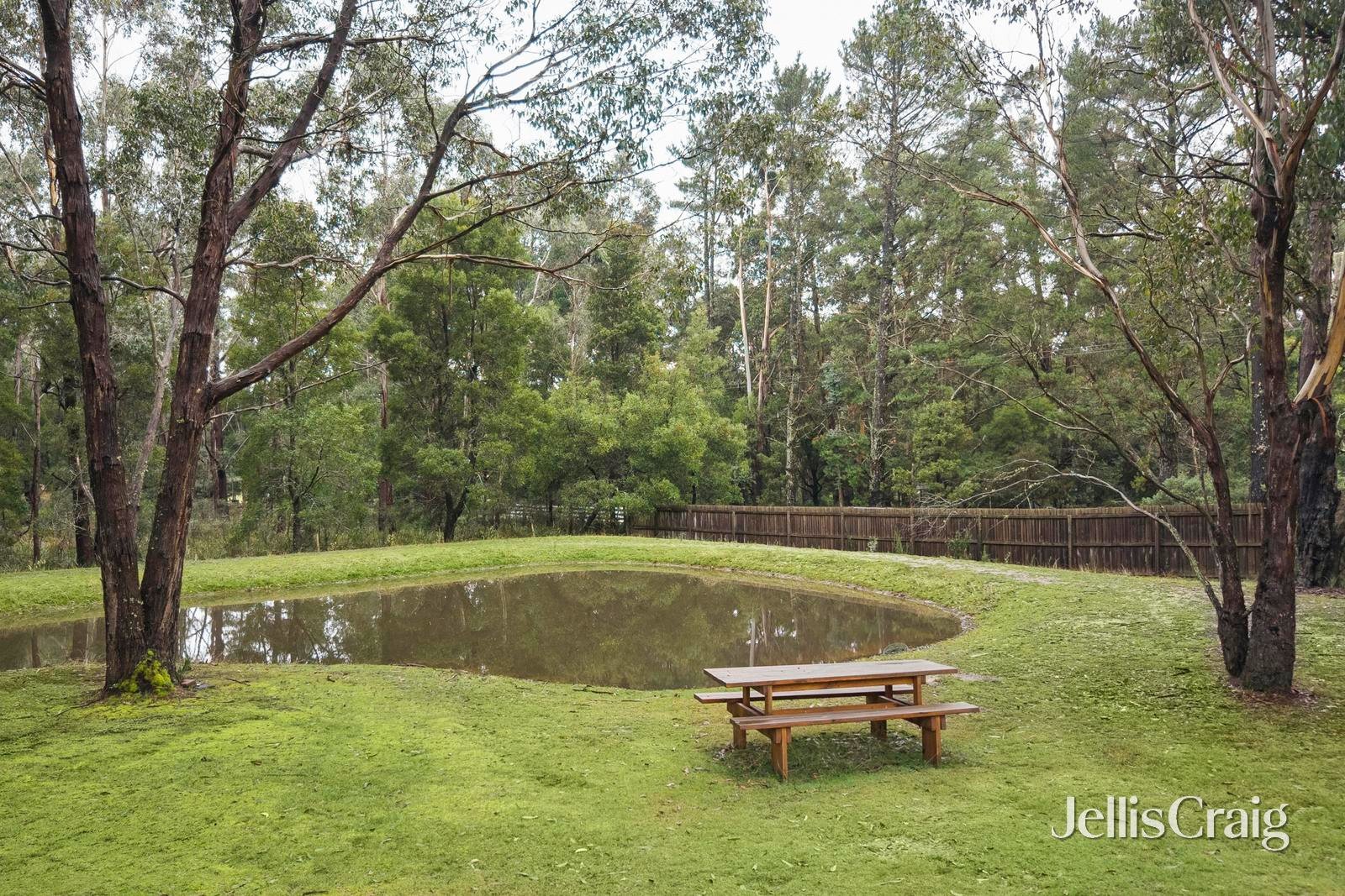 38 Coliban Drive, Lyonville image 14