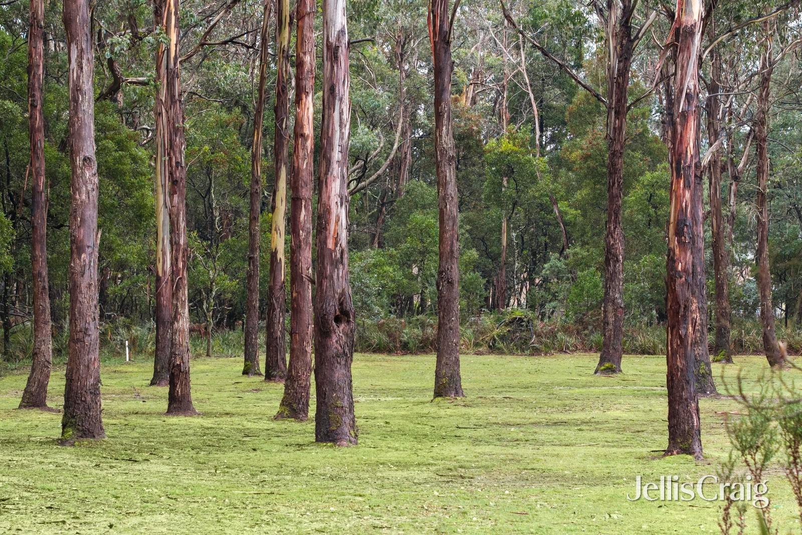 38 Coliban Drive, Lyonville image 17
