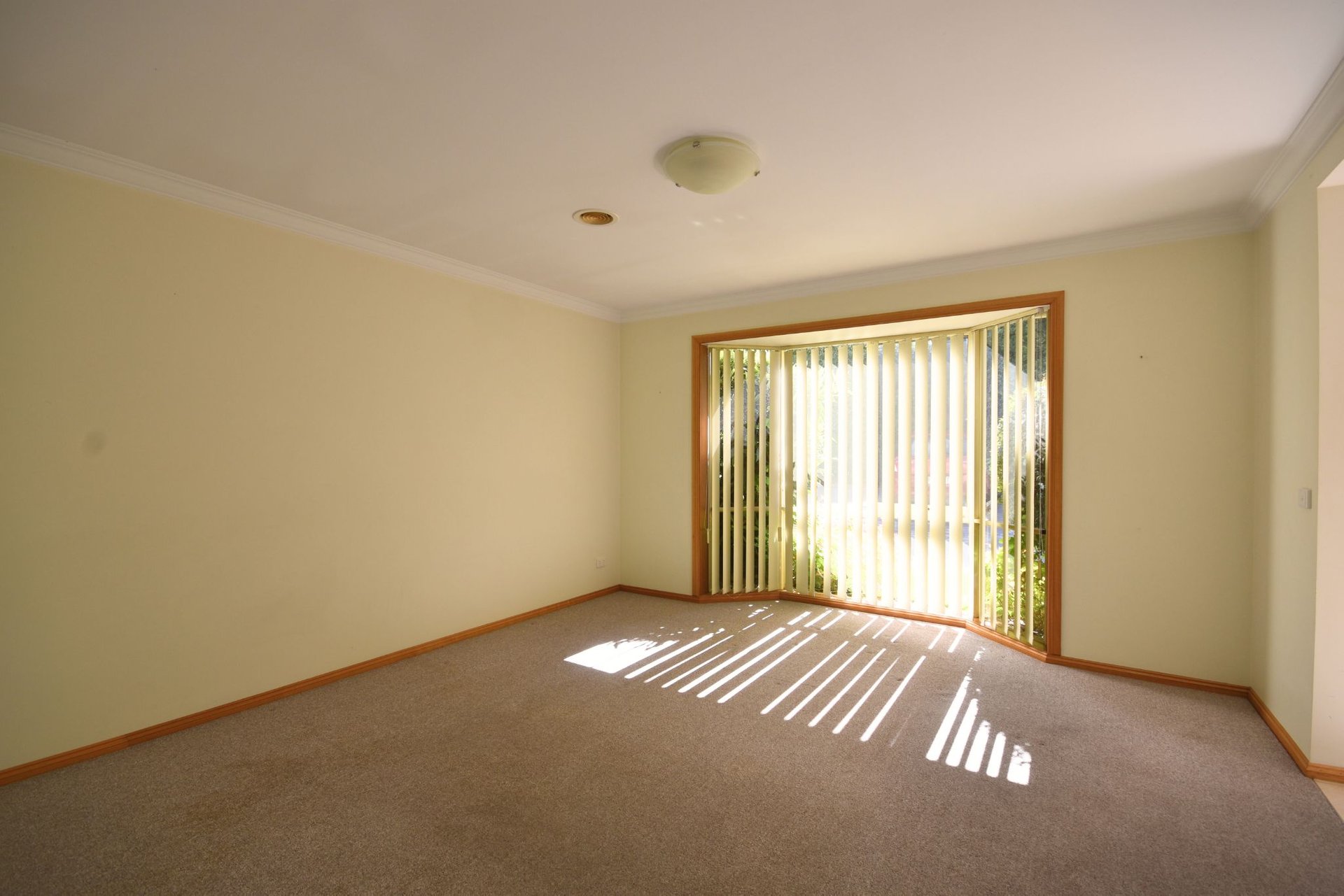 3/8 Devenish Avenue, Montrose image 3