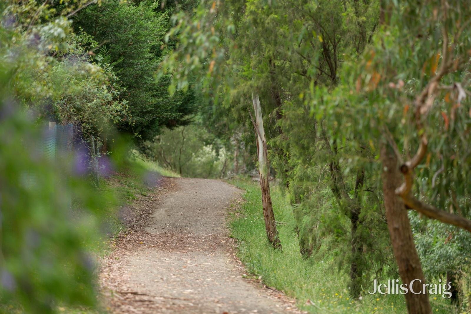 38 Eskdale Drive, Croydon Hills image 22